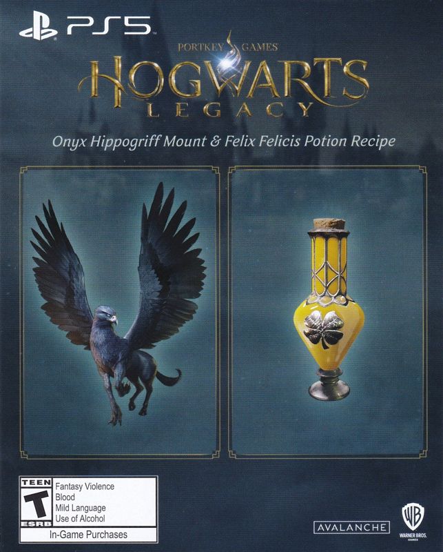 Hogwarts Legacy Deluxe Edition Cover Or Packaging Material Mobygames