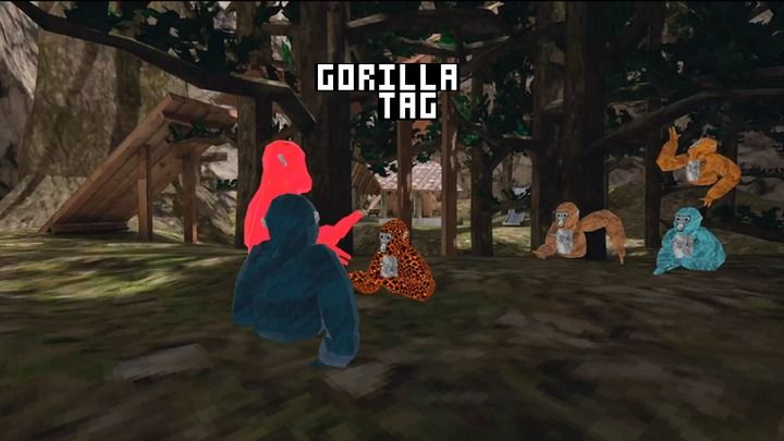 Gorilla Tag Cover Or Packaging Material Mobygames