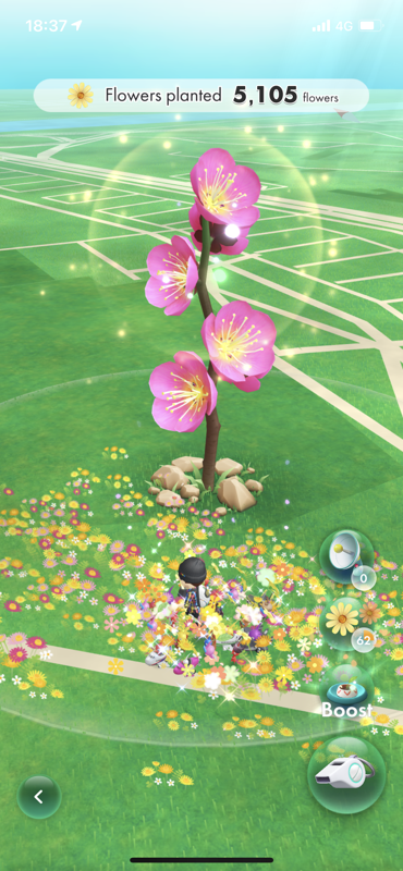 Screenshot Of Pikmin Bloom IPhone 2021 MobyGames