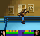 Screenshot Of ECW Hardcore Revolution Game Boy Color 2000 MobyGames