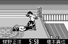 Screenshot Of Shin Nihon Pro Wrestling Toukon Retsuden Wonderswan