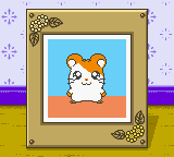 Screenshot Of Hamtaro Ham Hams Unite Game Boy Color Mobygames