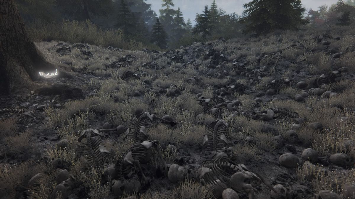 Screenshot Of The Vanishing Of Ethan Carter Playstation