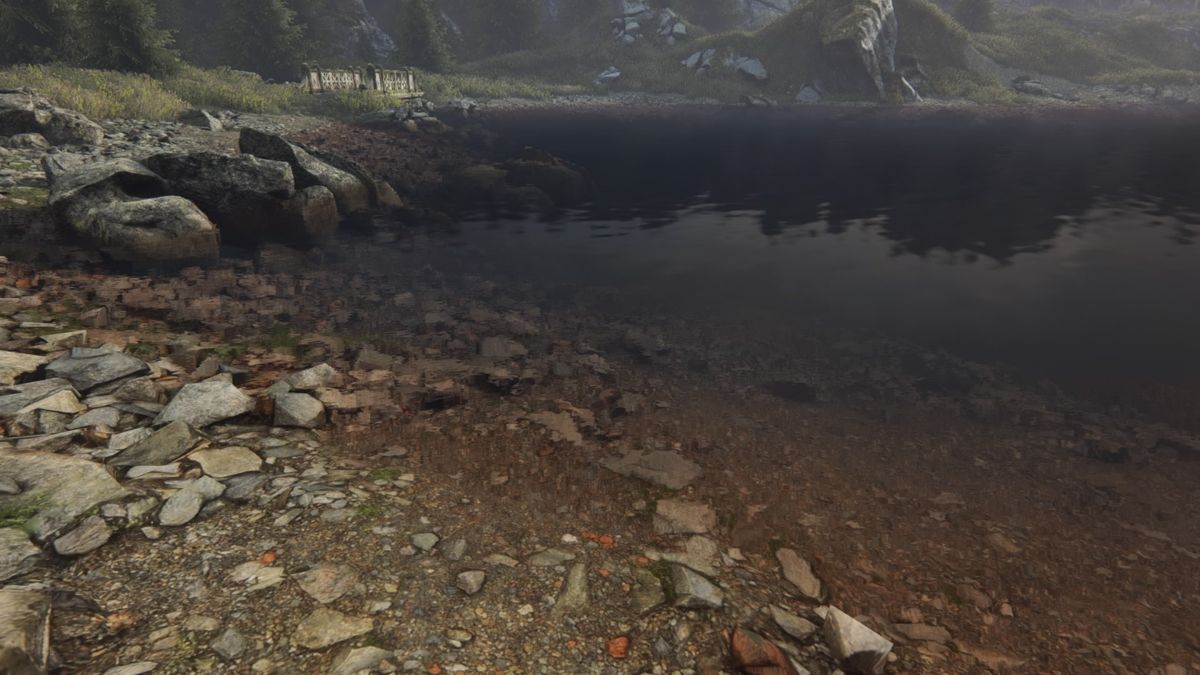 Screenshot Of The Vanishing Of Ethan Carter Playstation