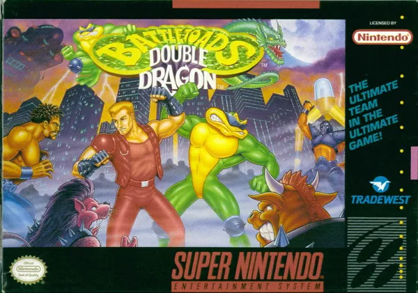 постер игры Battletoads / Double Dragon