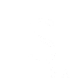 Singularity 6 Corporation logo