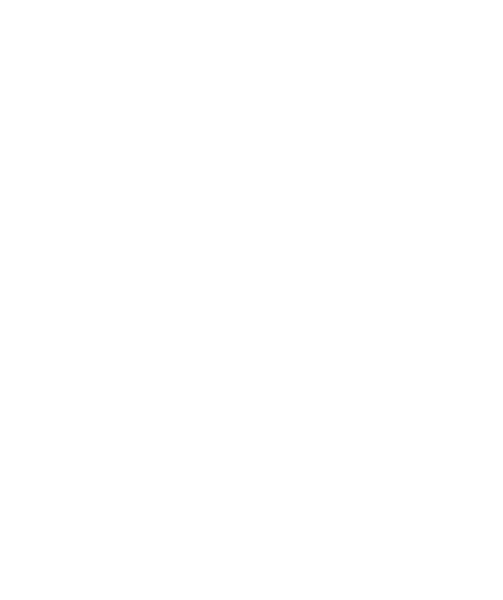Frozen Line logo