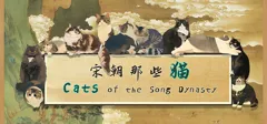 box cover