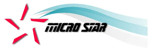 Micro Star Software logo
