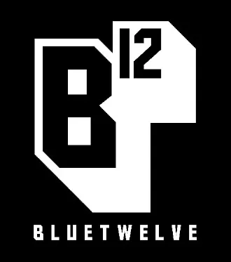 BlueTwelve Studio Ltd. logo