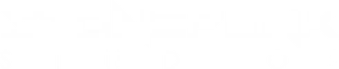 Stonepunk Studios logo