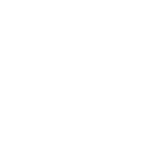 Dreamloop Games Oy logo