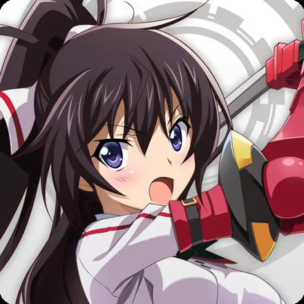 Review: Infinite Stratos (インフィニット・ストラトス)