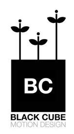Black Cube Creative Ltd logo