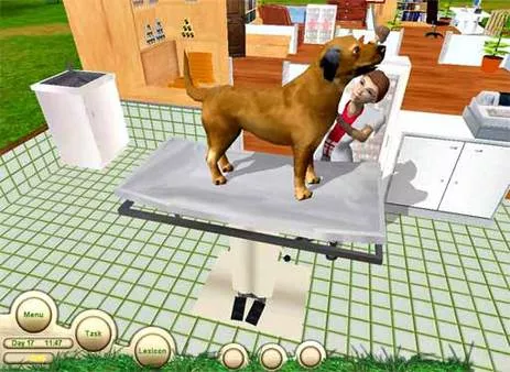 Paws & Claws: Pet Vet 2 - Nintendo DS – J&L Video Games New York City