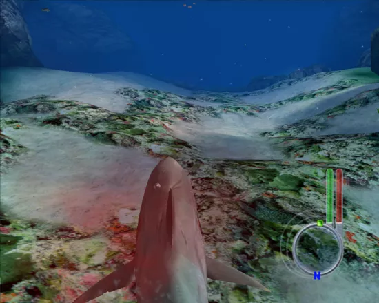 Jaws screenshots, images and pictures - Giant Bomb