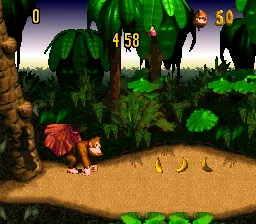 Donkey Kong Country