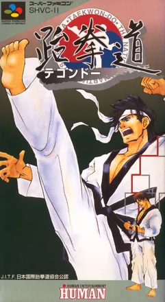 постер игры Taekwon-Do