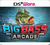 постер игры Big Bass Arcade