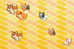 Petz: Dogz 2 (2006) - MobyGames