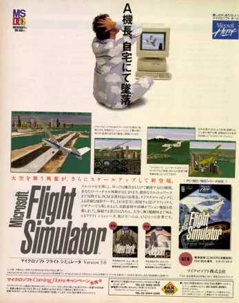 Microsoft Flight Simulator (v5.0) (1993) - MobyGames