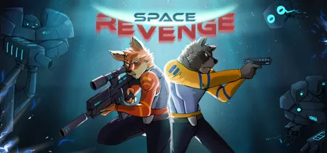 постер игры Space Revenge