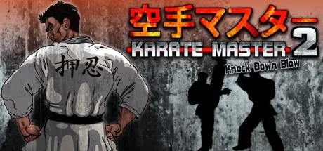 постер игры Karate Master 2: Knock Down Blow