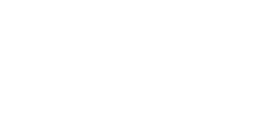 NCsoft Europe Ltd. logo