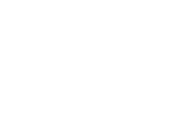 Flying Wild Hog Sp. z o.o. logo