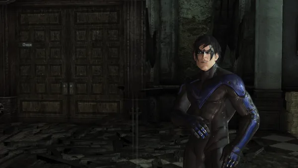 nightwing arkham city skins