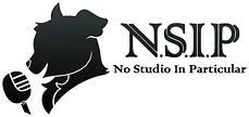 No Studio In Particular logo