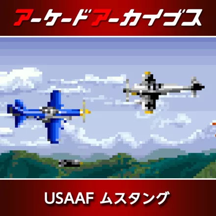 постер игры USAAF Mustang