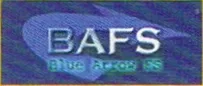 Blue Arrow FS logo