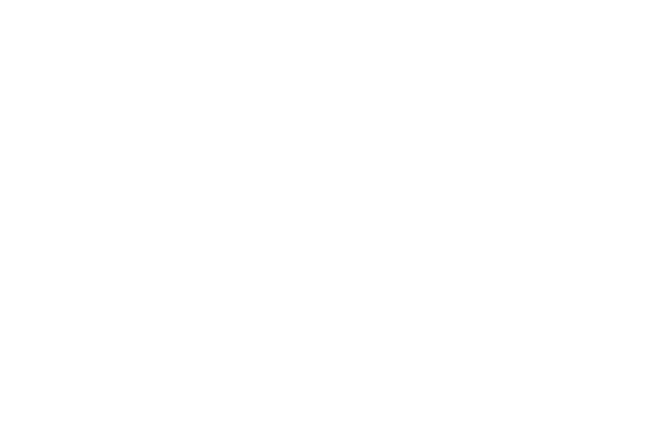 New Blood Interactive logo