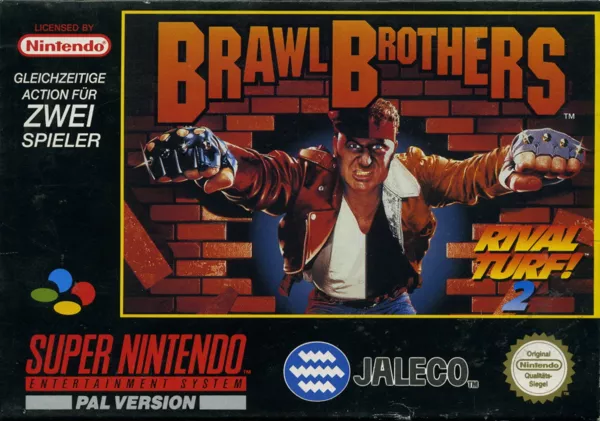 постер игры Brawl Brothers