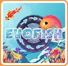 постер игры Evofish