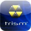 постер игры Trism