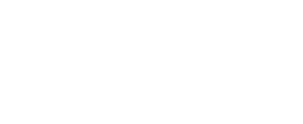 Beenox Inc. logo