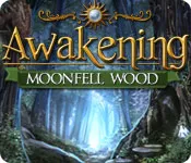 постер игры Awakening: Moonfell Wood