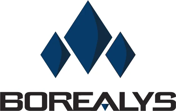Borealys Games Inc logo