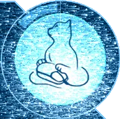 Lonely Cat Games, s.r.o. logo