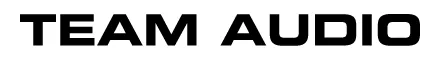 Team Audio, LLC logo
