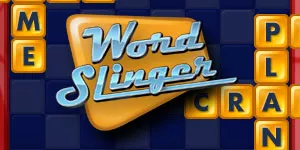 verzameling werkplaats badge Word Slinger - MobyGames