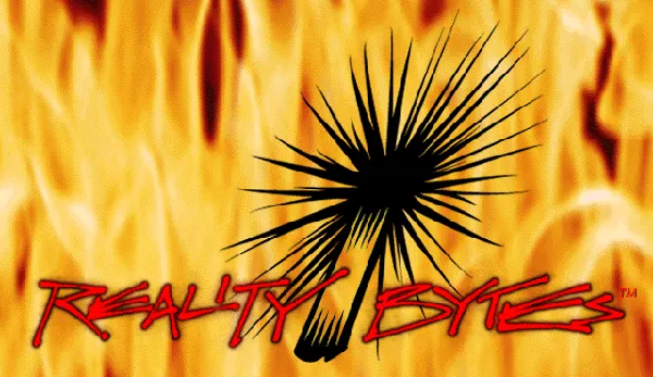 Reality Bytes, Inc. logo