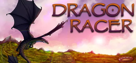 постер игры Dragon Racer