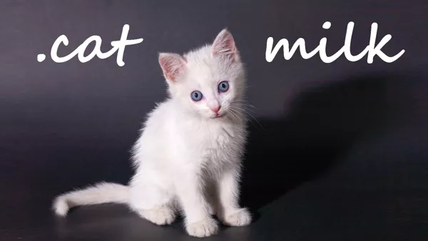 обложка 90x90 .cat Milk