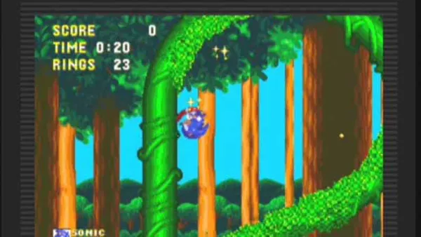 Knuckles the Echidna in Sonic the Hedgehog 2, A Gamer's Cheat Codes Wiki