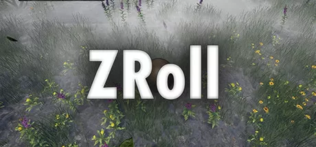 постер игры ZRoll