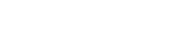 Visual Concepts Entertainment, Inc. logo