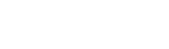 Lightspeed & Quantum Studios Group logo